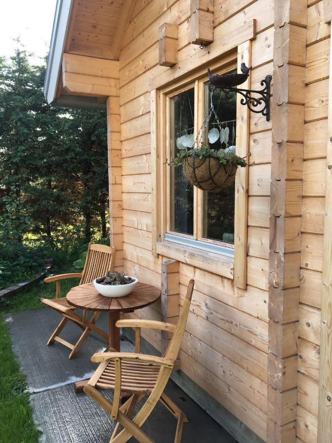 Chalet Ons Oekje Apartment Vrouwenpolder Exterior photo